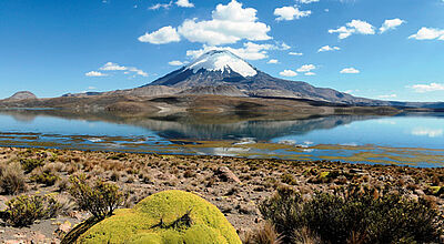 Der Vulkan Parinacota spiegelt sich im See Chungara im Lauca-Nationalpark.