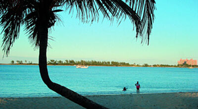 Von der Messe direkt an den Strand: Im Hotel Atlantis Paradise in Nassau fand der Caribbean Marketplace 2008 statt.