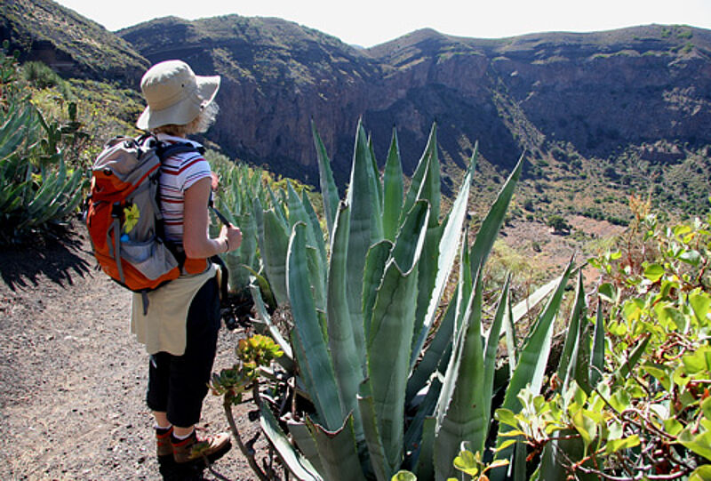 Wandern auf Gran Canaria: Alltours bietet jetzt auch anspruchsvollere Trekking-Touren an