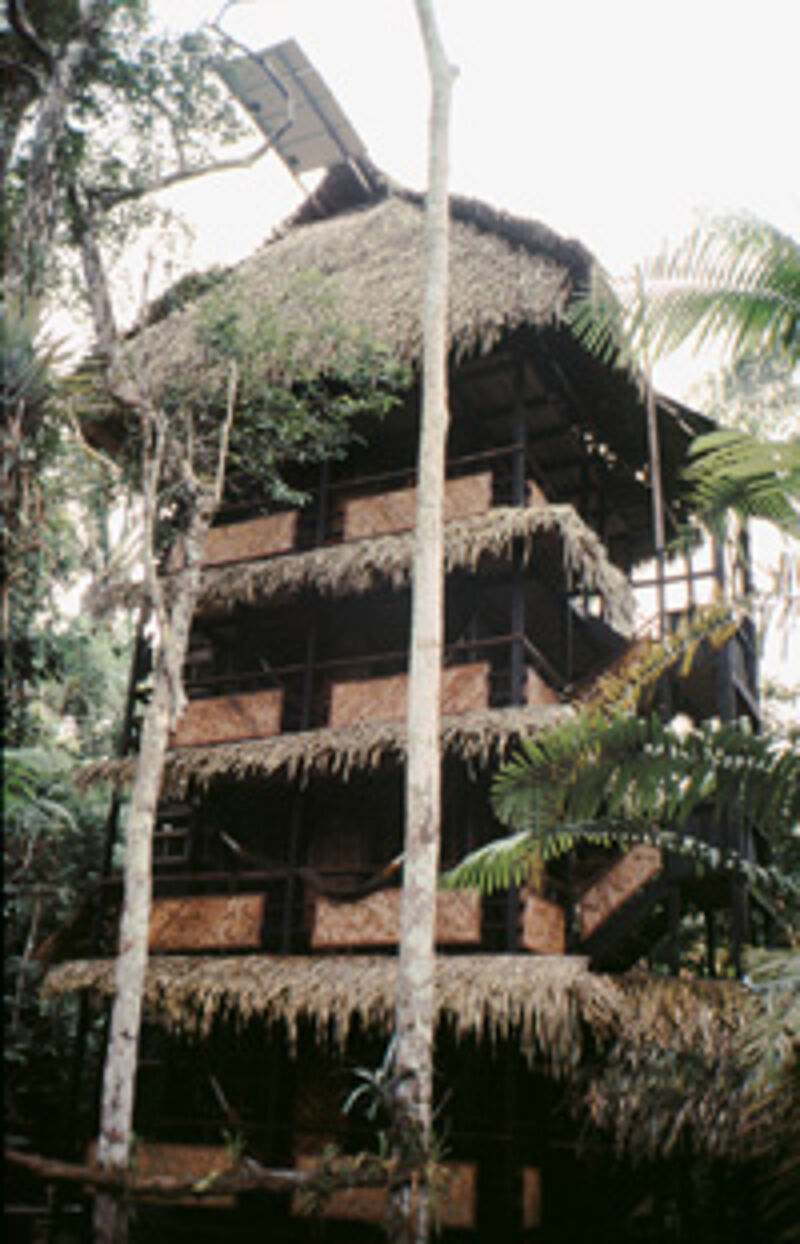 Von der Tapir Lodge aus wird der Regenwald erkundet.