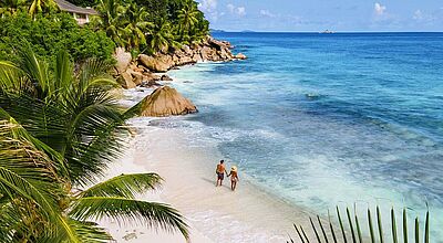 Hunderte Reiseberichte gibt es auf der ta-Website. Zum Trendziel Seychellen finden Sie sechs Reiseberichte