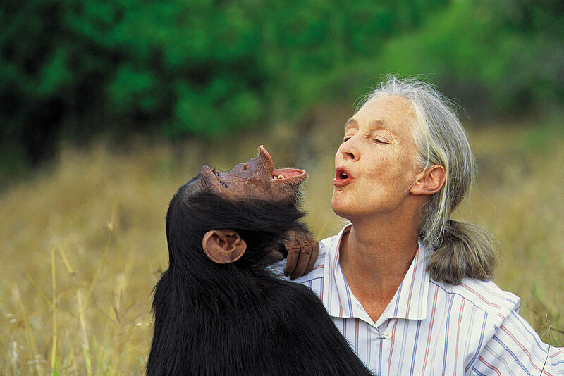 Die Umweltschützerin Jane Goodall leiht einer besonderen Kollektion von Tierreisen im Portfolio von G Adventures ihren Namen