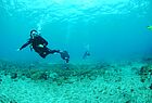 Einige Expedienten entschieden sich, die Unterwasserwelt vor Gran Canaria zu entdecken