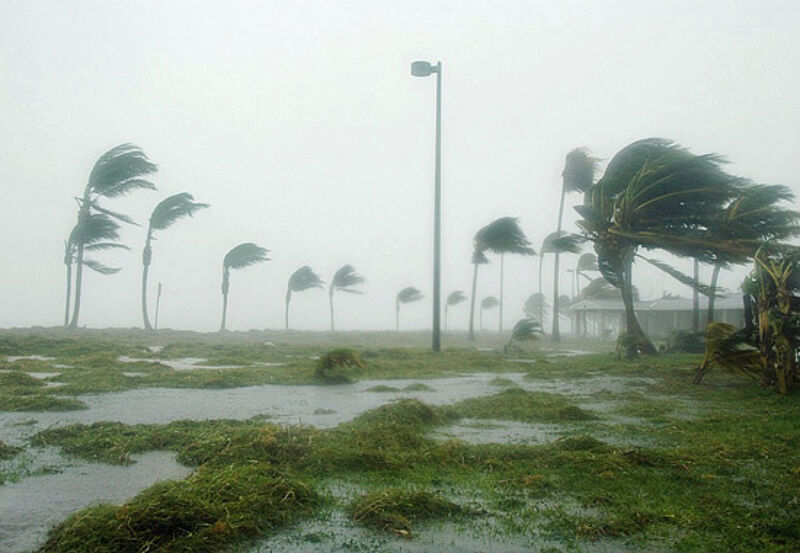 Hurrikan in Florida - Wegen Wirbelsturm „Irma“ bieten Veranstalter Umbuchungen oder Stornierungen an.
