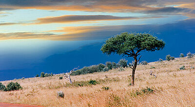 In der Masai Mara herrscht früh am Morgen eine ganz besondere Stimmung.