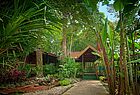 Erlebnis Tortuguero: Die Pachira Lodge besteht aus rund 40 im Regenwald verstreuten Holzbungalows 