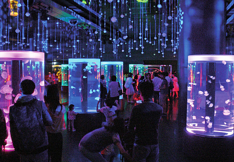 Tokios neue Attraktion mit Hightech-Aquarium und Delphin-Schau wurde 2015 eröffnet.