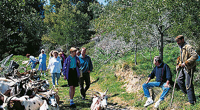 Der Weg Via Algarviana folgt den Pfaden, die Eseltreiber und Schafhirten seit Jahrhunderten nutzen.
