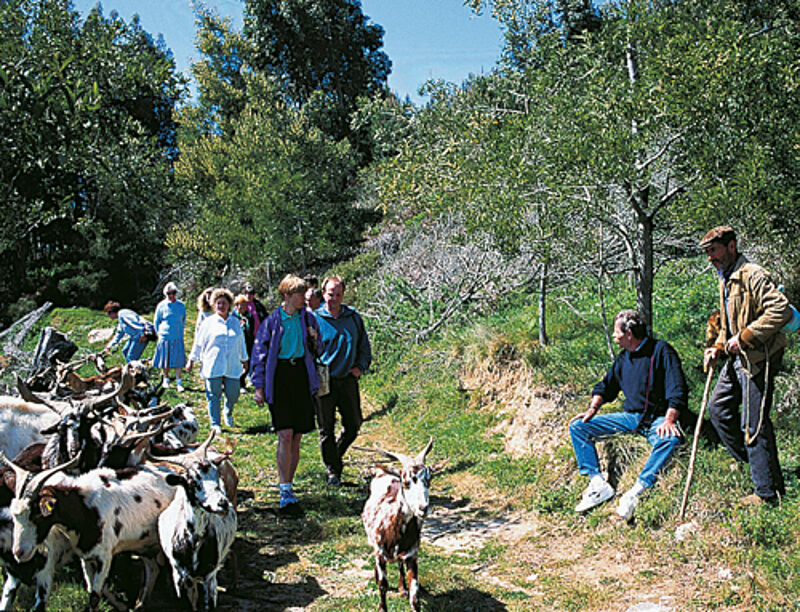 Der Weg Via Algarviana folgt den Pfaden, die Eseltreiber und Schafhirten seit Jahrhunderten nutzen.