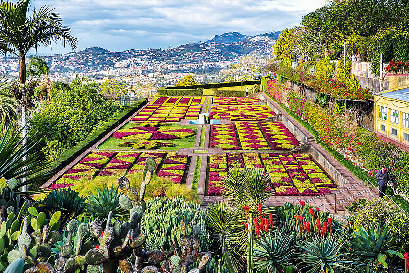 Blick auf den Jardim Botanico mit Funchal im Hintergrund