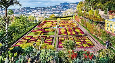 Blick auf den Jardim Botanico mit Funchal im Hintergrund