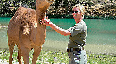 Freundlich: Kamel mit touristischem Damenbesuch.