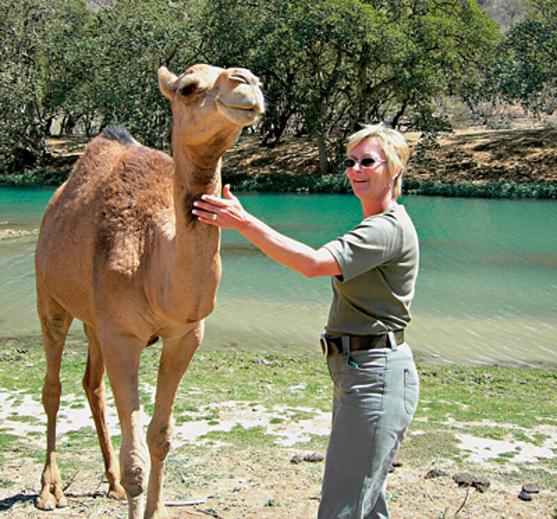 Freundlich: Kamel mit touristischem Damenbesuch.