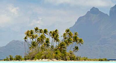 Strand und Palmen gibt es in Französisch Polynesien auch, beworben werden aktuell aber andere Qualitäten