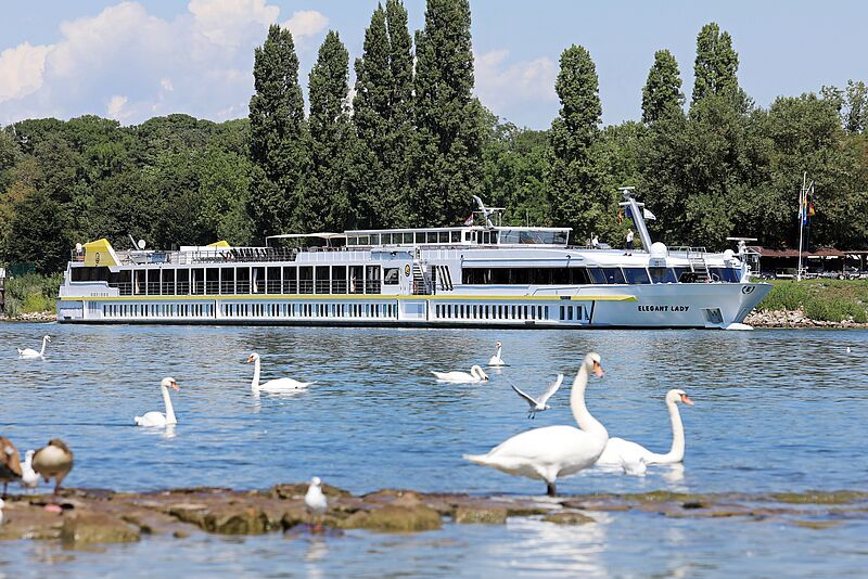 Die Elegant Lady befährt in diesem Jahr Rhein, Main, Mosel, Main-Donau-Kanal und die Saarschleife