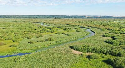 Die Flussauenlandschaft des Unteren Odertals hat Aktivtouristen einiges zu bieten Luftaufnahme einer grünen Landschaft mit einem gewundenen Fluss.