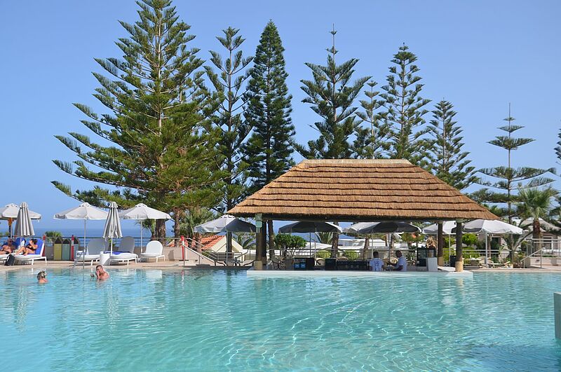 In einem Pool schwimmen einige Menschen, andere sitzen an der Poolbar. Im Hintergrund Bäume