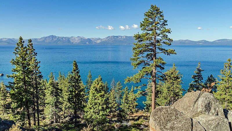 Blick auf das blaue Gewässer des Lake Tahoe in Kalifornien, im Vordergrund Kiefern, im Hintergrund eine Gebirsgskette
