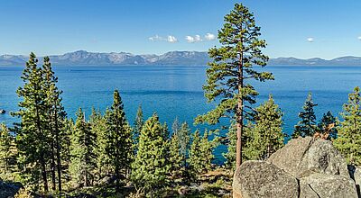 Blick auf das blaue Gewässer des Lake Tahoe in Kalifornien, im Vordergrund Kiefern, im Hintergrund eine Gebirsgskette