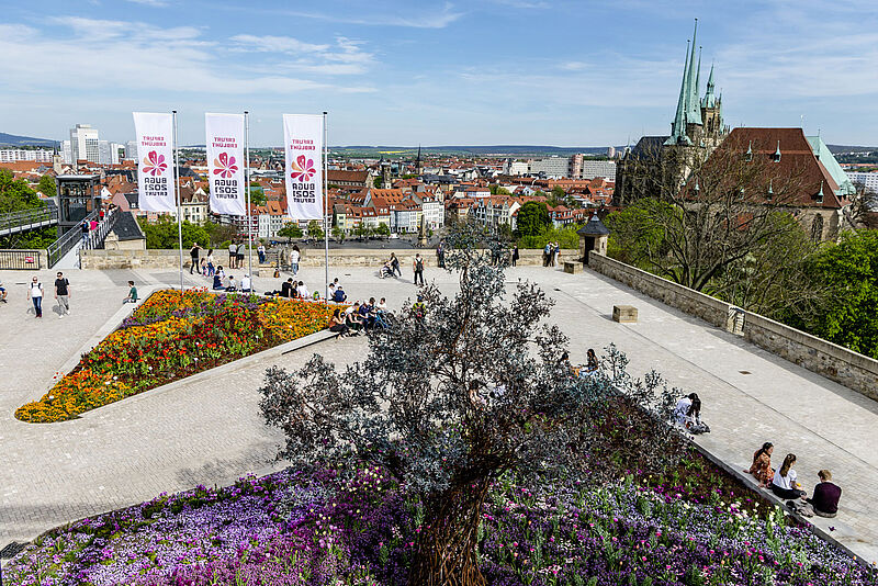 Blick vom Petersberg auf die Altstadt und den Dom