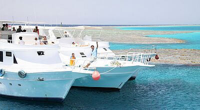 Bei Coral Travel und Ferien Tourisik soll es diesen Winter mehr Flugkapazitäten ins Schnorchel-Paradies Sharm-el-Sheikh geben Bei Coral Travel und Ferien Tourisik soll es diesen Winter mehr Flugkapazitäten ins Schnorchel-Paradies Sharm-el-Sheikh geben