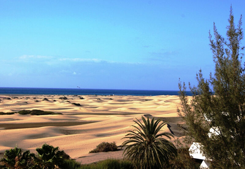Auf Gran Canaria – hier die Dünen von Maspalomas – hat Ecco-Reisen zwölf neue Häuser im Programm. Foto: tokamuwi/pixelio.de