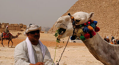Rund um die Pyramiden in Kairo herrscht nach wie vor touristische Funkstille
