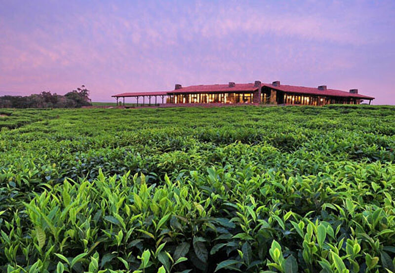 Das One & Only Nyungwe House in Gisakura in Ruanda soll noch in diesem Jahr eröffnen Das One & Only Nyungwe House in Gisakura in Ruanda soll noch in diesem Jahr eröffnen