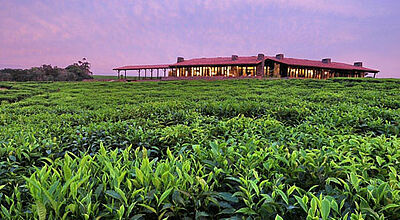 Das One & Only Nyungwe House in Gisakura in Ruanda soll noch in diesem Jahr eröffnen