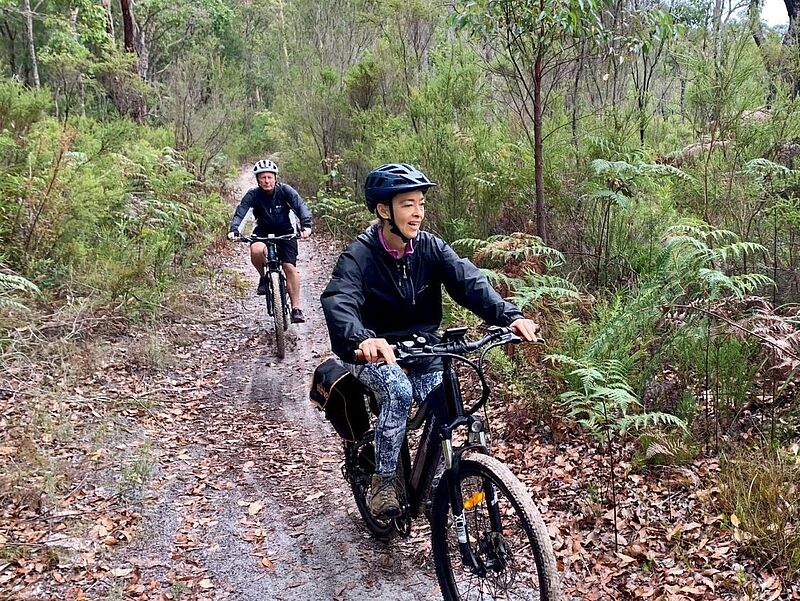 Unterwegs auf dem Munda Biddi Trail in Westaustralien, dem längsten Offroad-Radweg der Welt. Foto: Intrepid Travel Zwei Personen fahren mit Fahrrädern auf einem schmalen Waldweg durch dichtes grünes Buschland. Sie tragen Helme und wetterfeste Kleidung, und der Weg ist mit Blättern bedeckt.