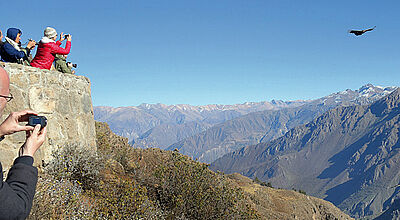 Grandioser Blick: Aussichtspunkt „Kreuz des Kondors“ hoch über dem Colca-Canyon