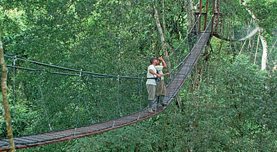 Über Hängebrücken kommen die Gäste der  Inkaterra Reserva Amazonica im Tambopata Nationalpark zu ihrer Lodge