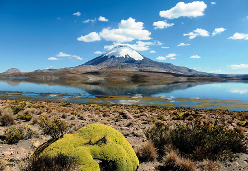 Der Vulkan Parinacota spiegelt sich im See Chungara im Lauca-Nationalpark.