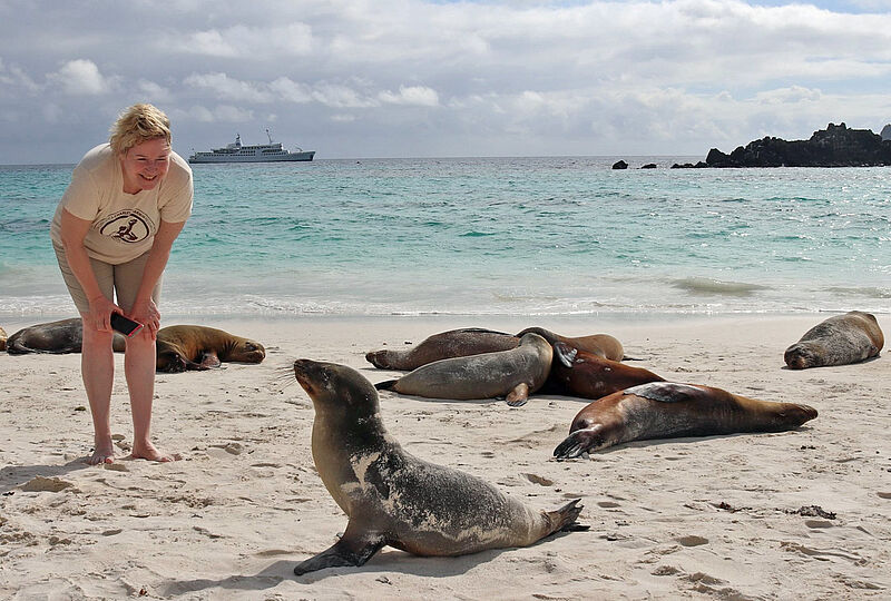 Da war die Welt noch in Ordnung: Beate Zwermann mit Seelöwen am Strand. Foto: Galapagos Pro