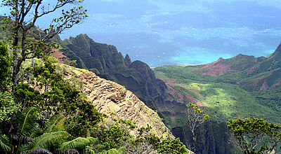 Wer mehr über Hawaii wissen möchte, kann an der neuen Online-Schulung teilnehmen