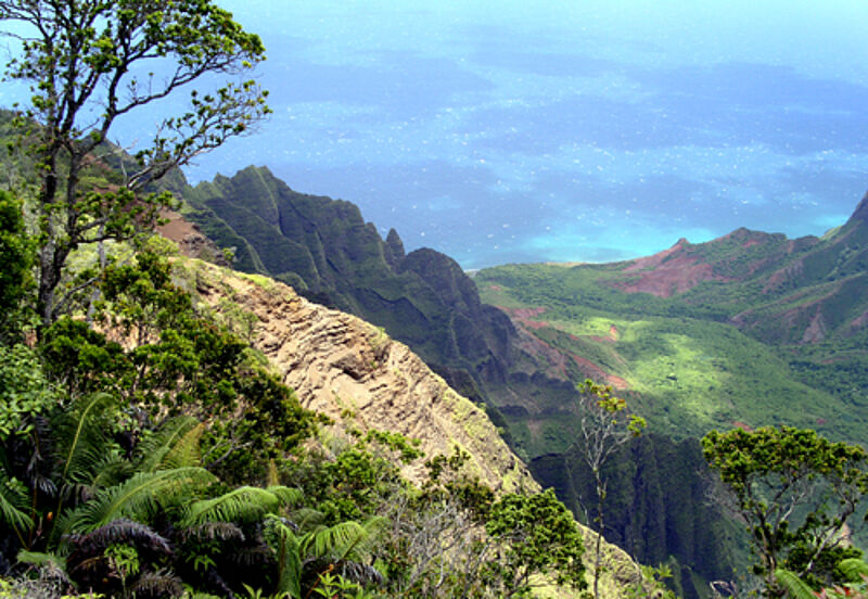 Wer mehr über Hawaii wissen möchte, kann an der neuen Online-Schulung teilnehmen