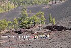 Einer von fünf Ausflügen: Leichte Wanderung am Vulkan Teide