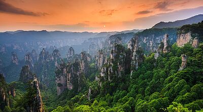 Spektakuläre Sandsteinfelsen im Zhangjiajie-Nationalpark in China, die aus einem üppigen, grünen Wald emporragen, unter einem orangefarbenen Himmel zum Sonnenuntergang.
