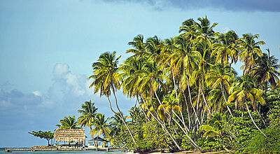 Viel Nützliches zum Karibik-Ziel Tobago erfahren Reiseprofis auf expiPROFI.de.
