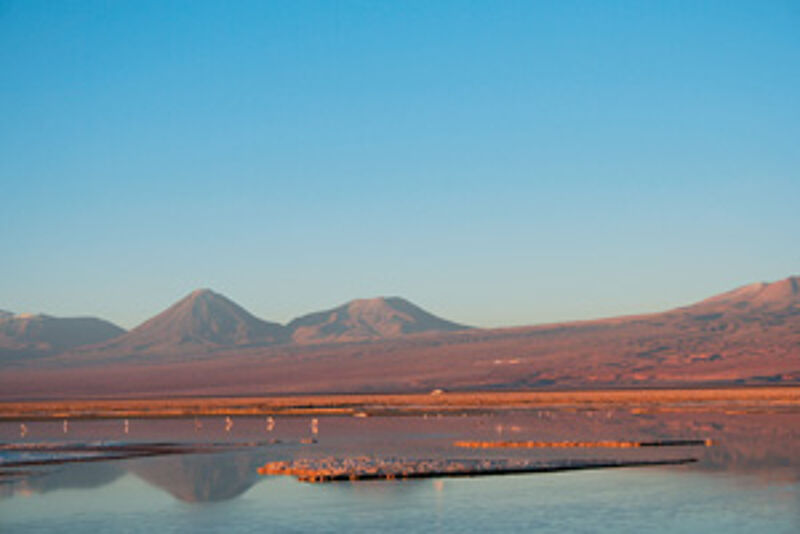 Selbst in der trockensten Wüste der Welt findet sich noch Wasser: Im Salar de Atacama tummeln sich Flamingos, Strandläufer und Säbelschnäbler.