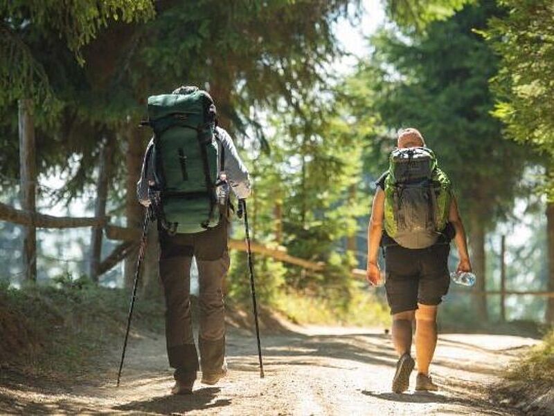 Zwei Wanderer mit großen Rucksäcken und Outdoor-Ausrüstung gehen auf einem sonnigen Waldweg, umgeben von hohen Tannen. Einer nutzt Trekkingstöcke, der andere trägt eine Wasserflasche. Das Licht fällt sanft durch das dichte Blätterdach.