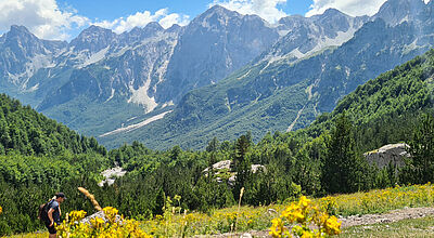 Gelbe Blumenwiese vor einem bergigen Hintergrund. Blauer Himmel mit ein paar Wolken
