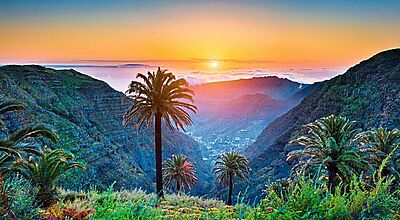 Viele Deutsche wollen im Winter auf die Inseln des ewigen Frühlings, auf die Kanaren, reisen