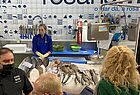 Klassiker im Ribeira-Markt: der Fischstand Rosanamar