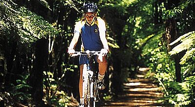 Gut für Aktivurlauber: Neuseeland baut 13 neue Fahrradrouten