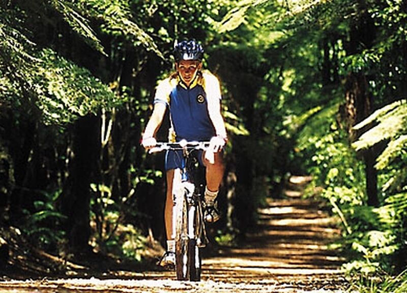 Gut für Aktivurlauber: Neuseeland baut 13 neue Fahrradrouten