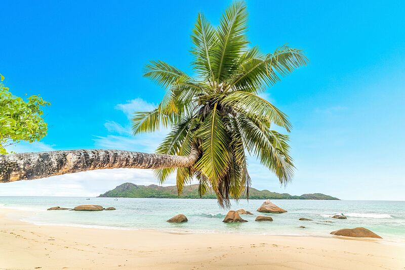 Palme wächst tief über weißen Sandstrand, Felsen ragen aus dem Meer, im Hintergrund eine bewaldete Insel