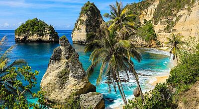 Tropische Küstenlandschaft mit türkisblauem Meer, markanten Felsformationen und steilen Klippen. Im Vordergrund stehen mehrere Palmen, dahinter liegen helle Sandstrände und große, von Vegetation bewachsene Felsen, die aus dem Wasser ragen.