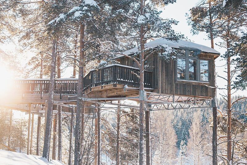 In der Ecolodge Granö Beckasin in Nordschweden können Dertour-Gäste unter anderem im Aurora Tree House nächtigen