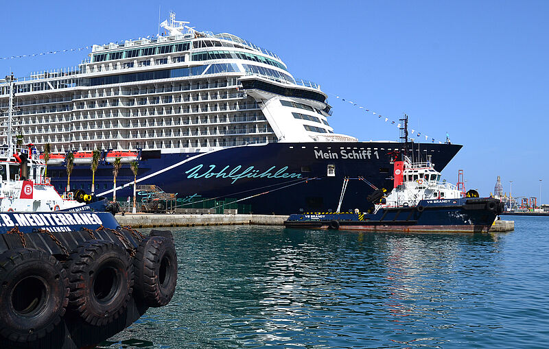 Die Kreuzfahrt-Gegner kritisieren unter anderem TUI Cruises